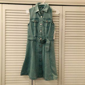 Venus Denim Button Down Dress